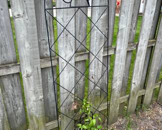 Trellis 