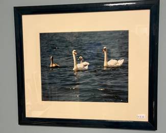 Framed Wall Art