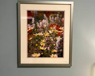 Framed Wall Art