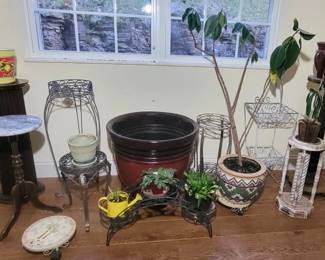All Green Thumbs