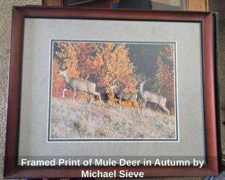 Framed Print of Mule Deer in Autumn by Michael Sieve
