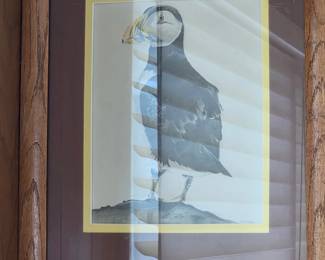 Puffin Print by J.W. Mather, after John James Audubon