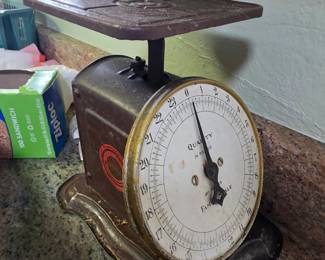 Great Northern Quality Family Scale