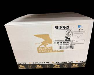 Ceiling fan, new in box