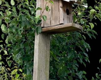 Bluebird house