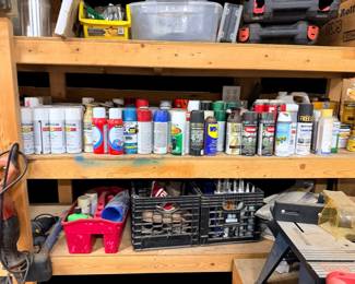 Lots of spray, paint and other supplies