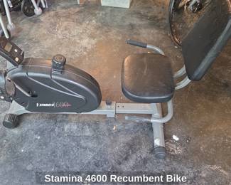 Stamina Recumbent Bike