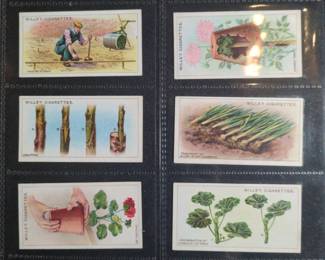 Wills Cigarettes Gardening Hints Series Trading Cards fifth image