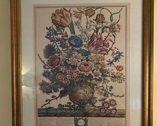 Pair of Twelve Months of Flowers Botanical Engravings by Robert Furber second image