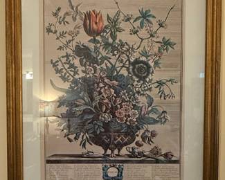 Pair of Twelve Months of Flowers Botanical Engravings by Robert Furber third image