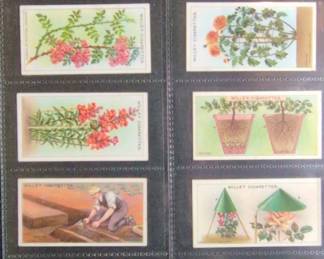 Wills Cigarettes Gardening Hints Series Trading Cards third image