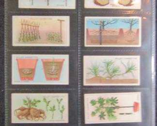 Wills Cigarettes Gardening Hints Series Trading Cards