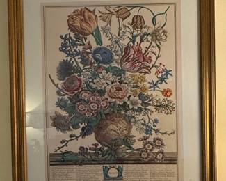 Robert Furber Twelve Months of Flowers  MARCH Botanical Print