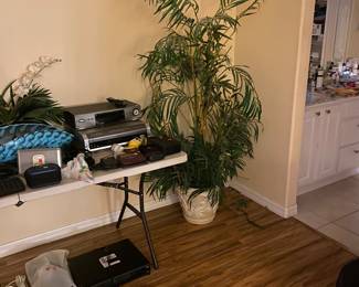 Plants, electronics