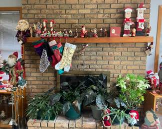 Several nice plants to choose from along with a few more Santa's