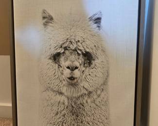 Lana Pouty Dauton Alpaca Canvas Print
