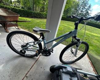 Trek mountain bike