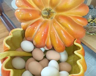 All the eggs in one...........pumpkin?