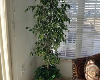 Large permanent botanical
