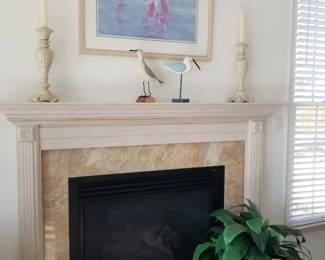 Gas fireplace insert; art & decor