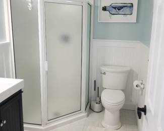 Shower surround; toilet
