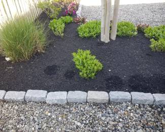 Belgian blocks; gravel; plants