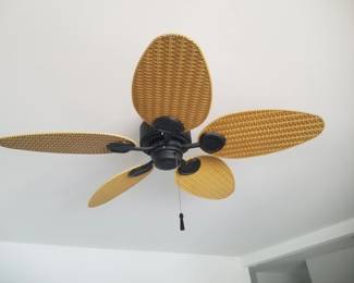 Ceiling fan