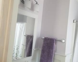 Bath vanity; mirror; vanity lights