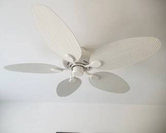 Ceiling fan