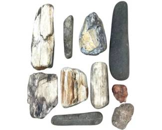 Petrified Wood & Coastal Stones