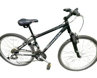 Raleigh M20 Mountain Bike