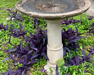 Large Cement Birdbath