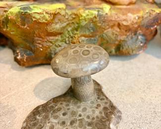 PETOSKEY STONE MUSHROOM