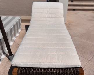 JANUS Et Cie Chaise Lounge - 10 Available. Each Comes with Cushion & Cover. Photo 3 of 3. 