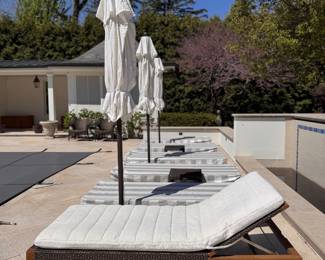 JANUS Et Cie Chaise Lounge - 10 Available. Each Comes with Cushion & Cover. Photo 1 of 3. 
