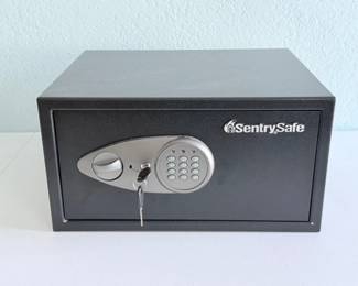 93 SentrySafeDigitalSecuritySafe