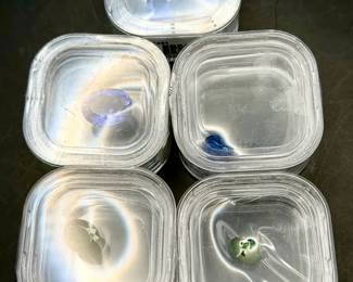 Unmarked Gems