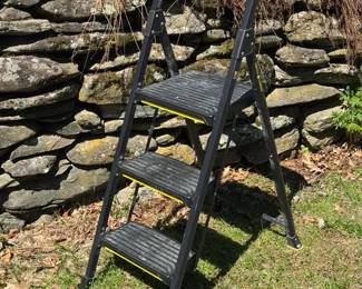 Gorilla Ladder