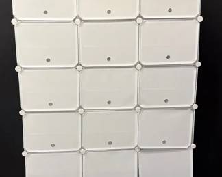 Metal And Plastic Shoe Organizer
