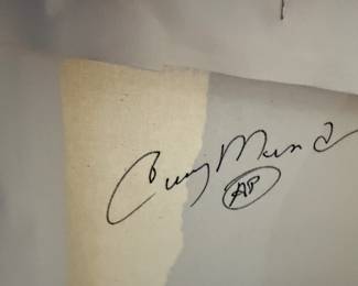Curry Mendez AP listed artist 