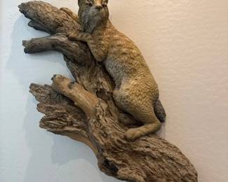 Bobcat In A Tree By Gary Burke