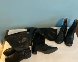 Boot Lot 3 Pairs  LL Bean, Baretrap
