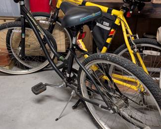 Beach cruiser and Diamond Back bike