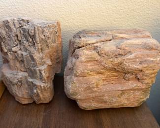 Petrified Wood