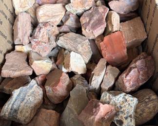 Petrified Wood