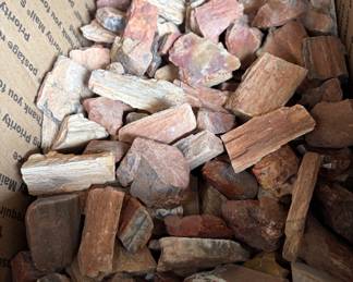 Petrified wood