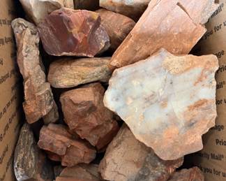 Petrified Wood