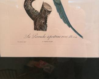 Hand-Colored Engraving of Pierre Paul Barraband (1716 - 1809) Red-Breasted Parakeet. Photo 2 of 3.