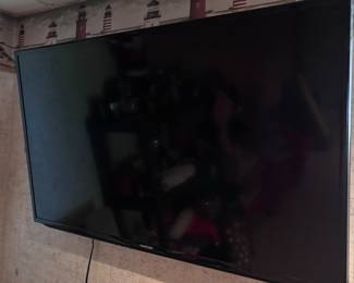 46in TV