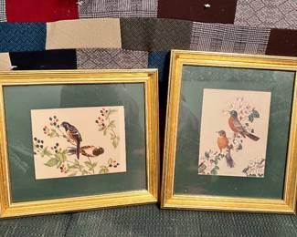 Vintage Bird Prints 